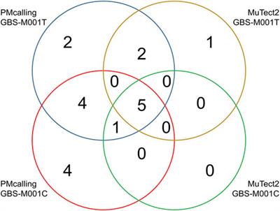 Detecting Genetic Variation of Colonizing Streptococcus agalactiae Genomes in Humans: A Precision Protocol